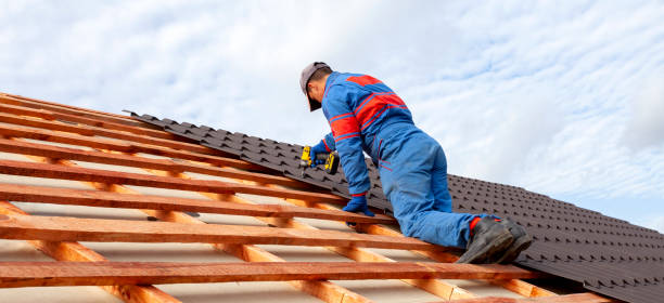 Best Asphalt Shingle Roofing  in Bozeman, MT